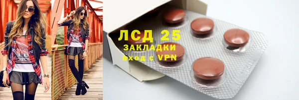 гидра Медвежьегорск