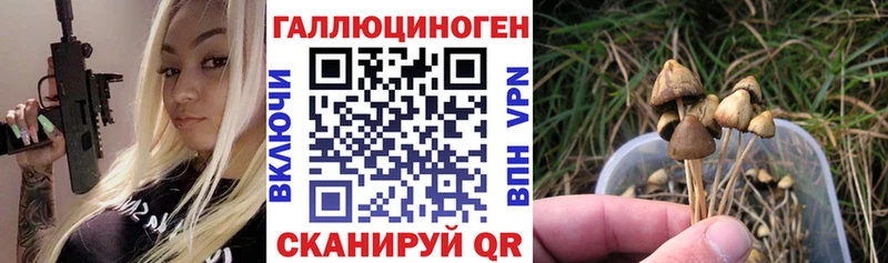 Галлюциногенные грибы GOLDEN TEACHER  ссылка на мегу онион  Кулебаки 